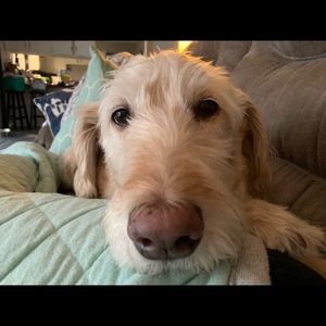 Meet your Posher, Mindy